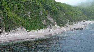 4K UltraHD, поездка в село Тимофеевка Приморского края