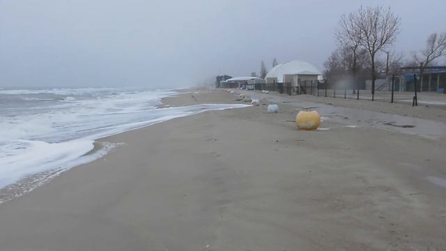 Затока Зимний пляж 08 02 2018 смотреть онлайн