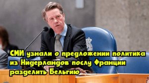 СМИ узнали о предложении политика из Нидерландов послу Франции разделить Бельгию