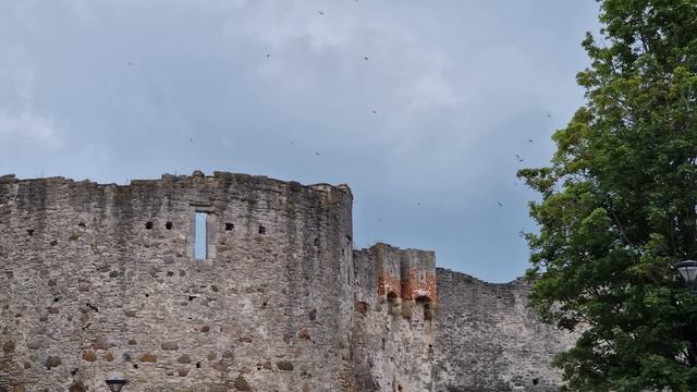 Хаапсалу: как выглядит курорт по-эстонски, где отдыхали императоры?! смотреть онлайн