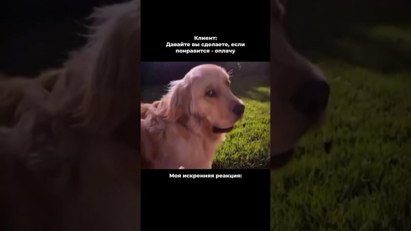 Фрилансеры поймут #клиент #клентоплата #дизайнер #фриланс #художник #фрилансер #дизайн