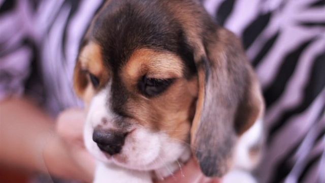 12 июля 2024 г. смотреть онлайн