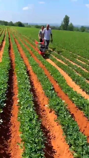 Small machines help a lot in agriculture #machine #agriculture