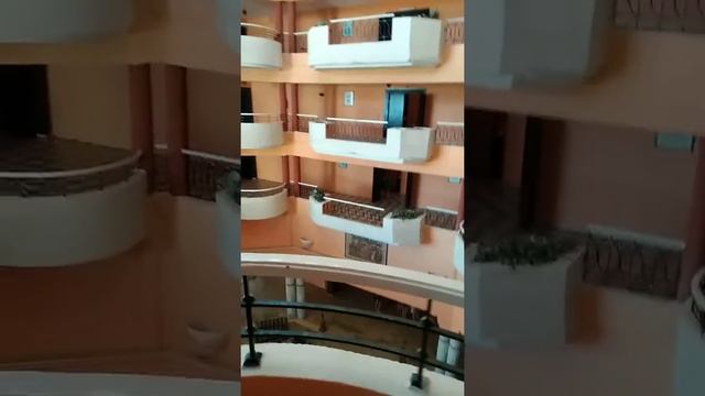 Tunisia хаммамет Safa 3* смотреть онлайн