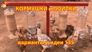 Кормушки и поилки из 2 л бутылок на стойке понравились цыплятам