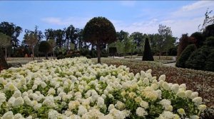Открыли часть Парка облаков в Краснодаре | Парк Сергея Галицкого