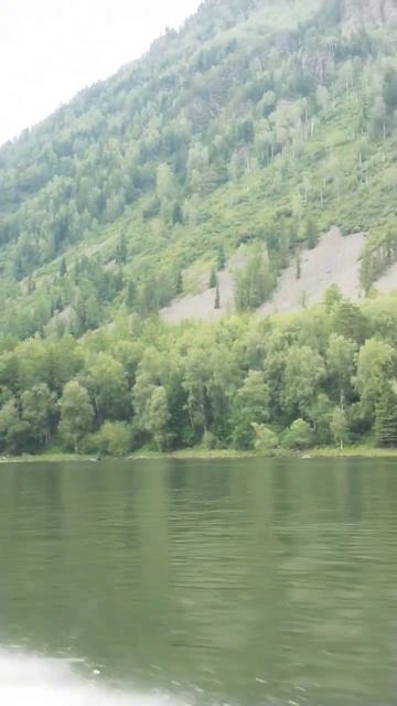 Телецкое озеро, Горный Алтай ⛰️🛥️⛰️ #altai #siberia #nature смотреть онлайн