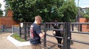 Поездка в Саранск июнь 2024 #саранск