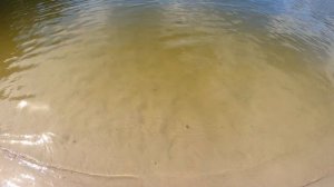 Что сегодня в Киеве?  Пляжи Киева / Пляж Пуща Водица