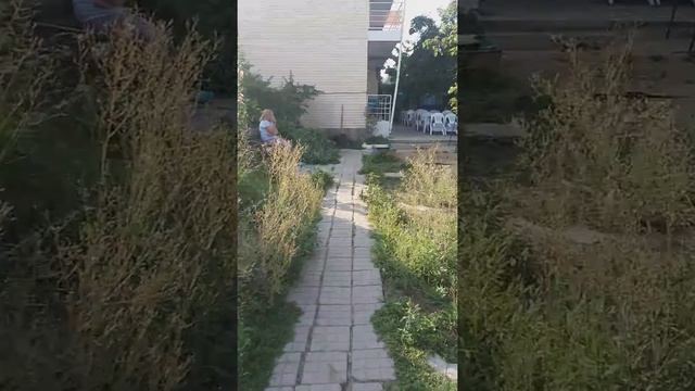 Аренда гостиницы. Подвязались на еще одно дело...помощь подруге...