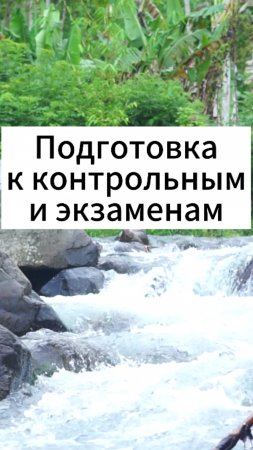 Эффективные рекомендации для помощи школьникам