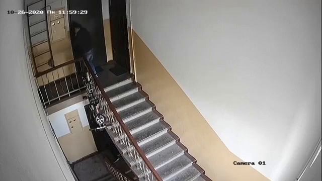 Камера видеонаблюдения