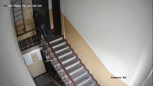 Камера видеонаблюдения