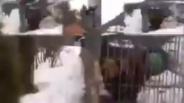 палку давай