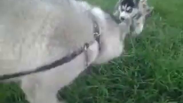 Тихорецк Еще дети смотреть онлайн