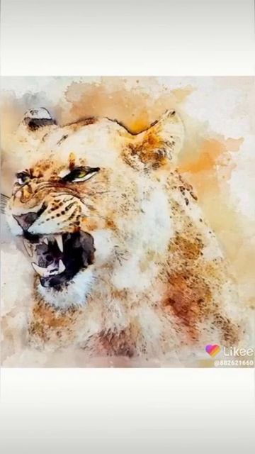 Дикая львица смотреть онлайн