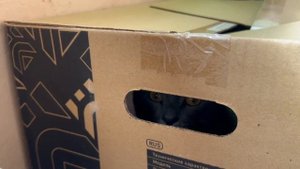 Нашел новую коробку, точнее очередной новый дом на балконе, теперь живу там, мяуу