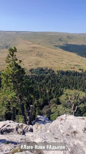 #Плато #ЛагоНаки #Адыгея #shorts  телеграм канал - https://t.me/dorosiled смотреть онлайн