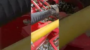 Уборка моркови комбайном Гримме