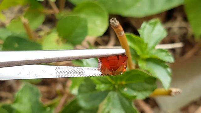 3.45ct Mandarin / Fanta Orange Tanzanian Garnet. смотреть онлайн