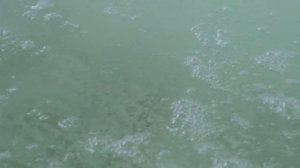 Отдых и лечение в санатории "Сибирь" на курорте Белокуриха