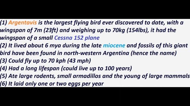 Argentavis, the largest flying bird ever смотреть онлайн