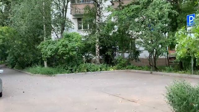 Прогулка по улице Лобачевского, г. Москва, 15.08.2023 смотреть онлайн