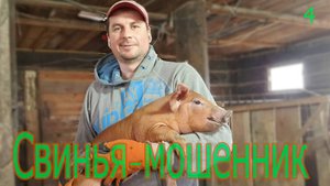 Меня кинули на бабки