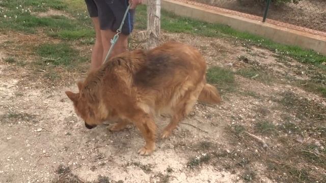 mara at asoka 2 смотреть онлайн