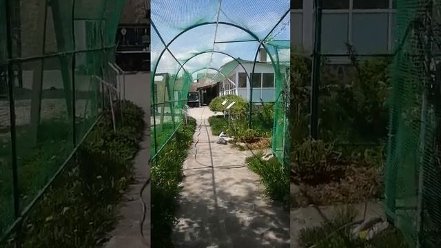 май 2023г. Щетинка смотреть онлайн