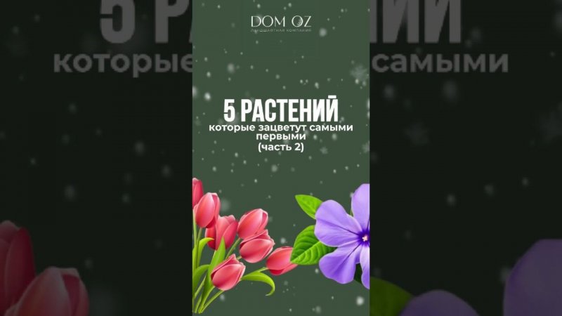 ЗАКАЗАТЬ ПОСАДКУ РАСТЕНИЙ:  +7(985)920-77-00 (WhatsApp, Telegram)  https://domozmsk.ru