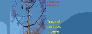 Теплый ветерок подул.