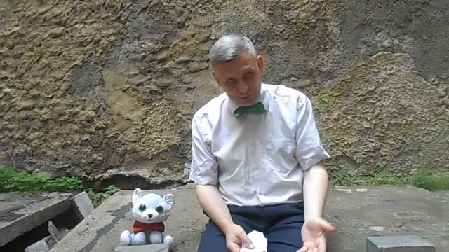 Рериховские места. (349) Санкт-Петербург, ул. Гражданская, 28: поворотные точки смотреть онлайн