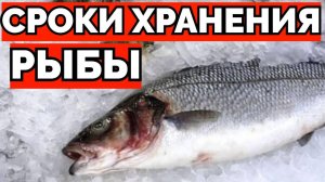 Сколько можно хранить рыбу в холодильнике и в морозилке ?