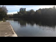 Утки на озере. Москва, Перово