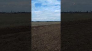 Скачки на лошадях