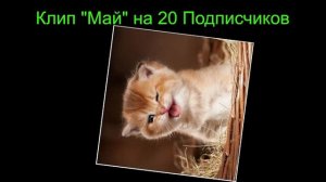 КЛИП "МАЙ" НА 20 ПОДПИСЧИКОВ!