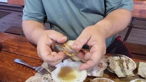 Гребешок морской Приморский - готовим на углях в ракушке