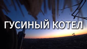 Мощнейший гусиный котел. #охотанагуся #hunting #goosehunting #весенняяохота #hunterhelp