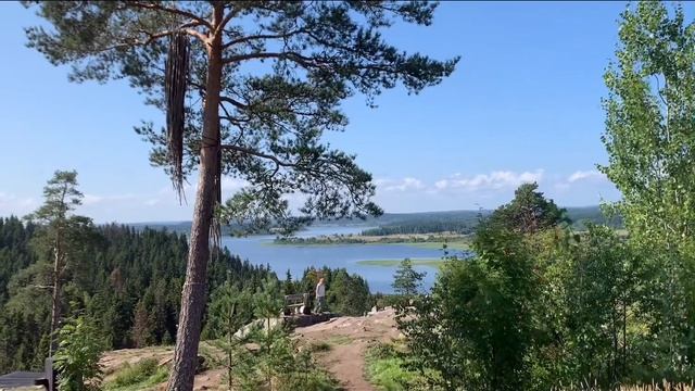 2 день в СРАТОВАЛЕ. КОШКА В ЛЕСУ