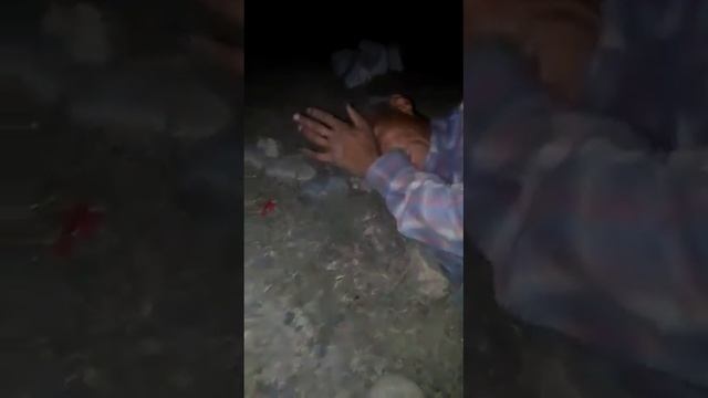 Не все пьяные злые Мерке Казакстан смотреть онлайн