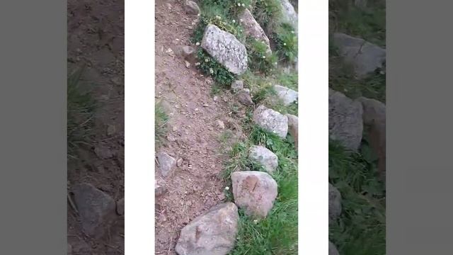 Треккинг в Суган. Пробная версия смотреть онлайн