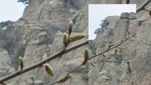 КАВКАЗКАЯ ПЛЕННИЦА, МЕСТА СЪЁМОК Алушта 2025г.