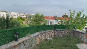 Монтаж Зелёной (Колифорнийской) изгороди на каменный парапет