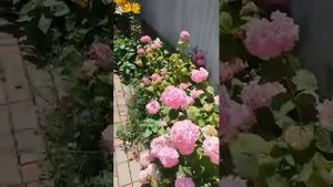 Частный дом «Эдем», Дивноморское. +7 (918) 623-79-61