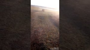 Дрифт на заз 968м