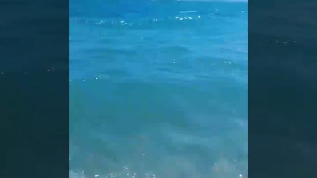 Новороссийск лето смотреть онлайн