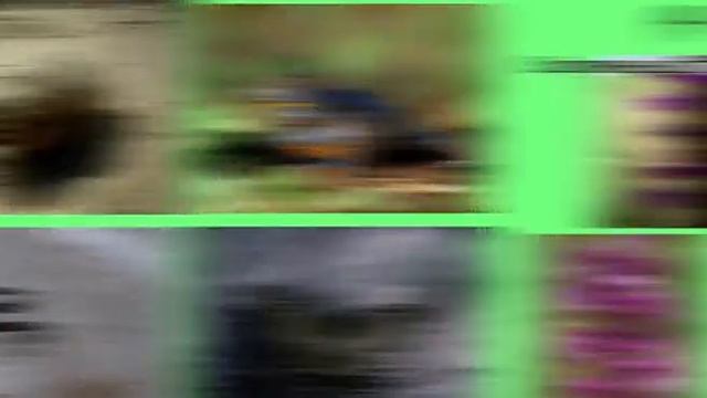 «Олешківські піски» можуть стати фішкою екотуризму смотреть онлайн