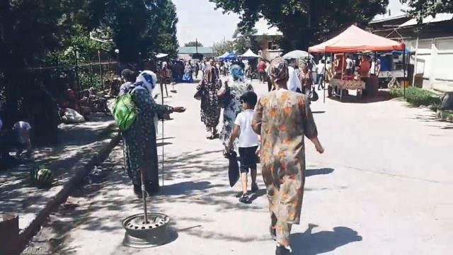 Конибодом медколледж 2020 смотреть онлайн