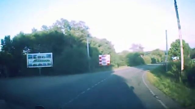 Коровы идут напролом смотреть онлайн